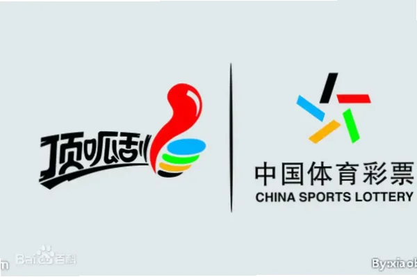 江苏体彩网官网查询开奖结果安全指南